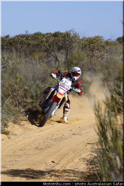 australasian_safari_scott_4_2010