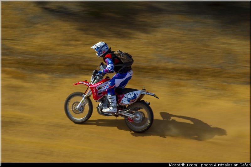 australasian_safari_smith_j_01_2010