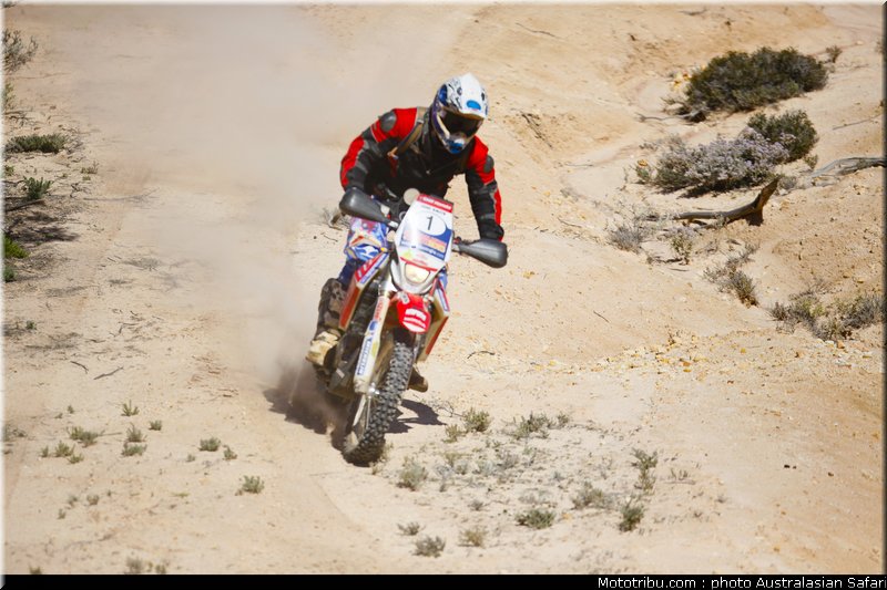 australasian_safari_smith_j_07_2010