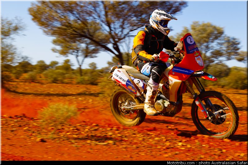 australasian_safari_smith_t_12_2010