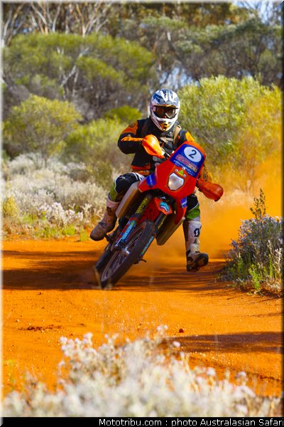australasian_safari_smith_t_13_2010