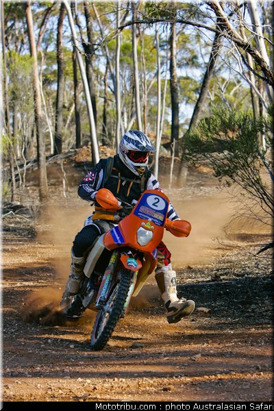 australasian_safari_smith_t_14_2010