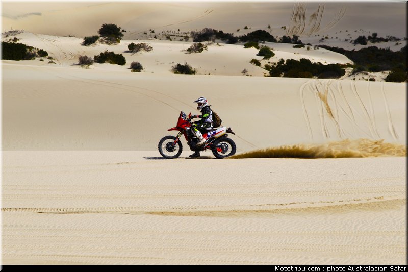 australasian_safari_smith_t_15_2010