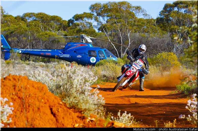 australasian_safari_strange_1_2010