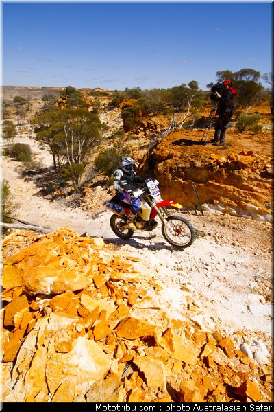 australasian_safari_vroom_1_2010