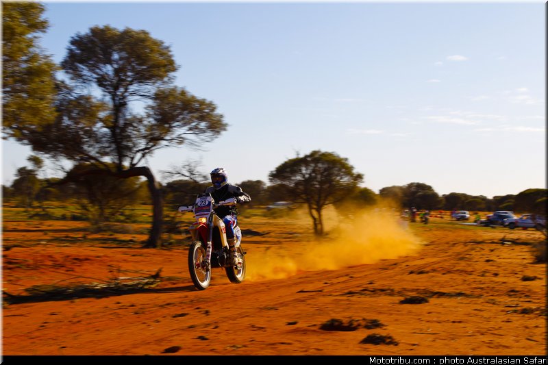 australasian_safari_vroom_2_2010