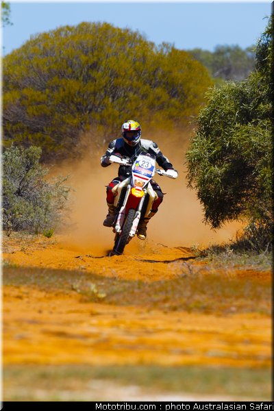 australasian_safari_vroom_3_2010