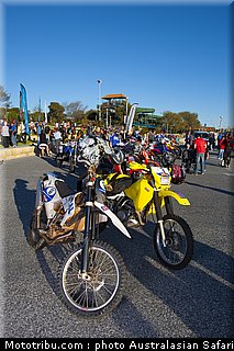 australasian_safari_006_2010.jpg