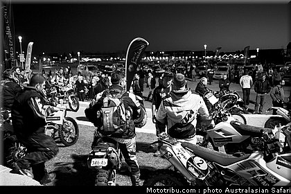 australasian_safari_014_2010.jpg