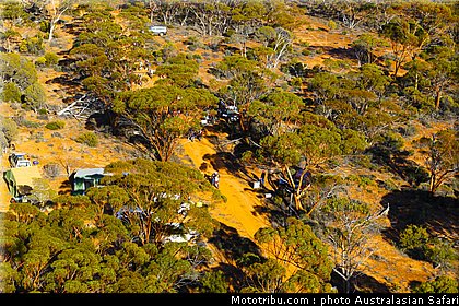 australasian_safari_017_2010.jpg