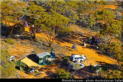 australasian_safari_018_2010.jpg
