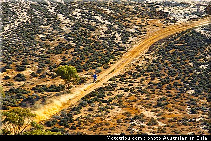australasian_safari_019_2010.jpg
