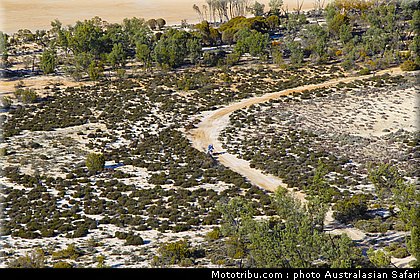 australasian_safari_023_2010.jpg
