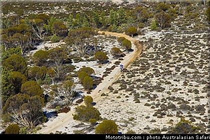 australasian_safari_025_2010.jpg