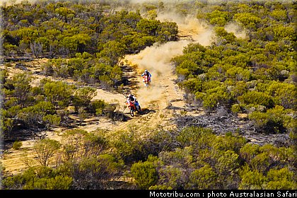 australasian_safari_029_2010.jpg