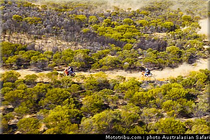 australasian_safari_030_2010.jpg