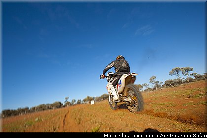 australasian_safari_035_2010.jpg
