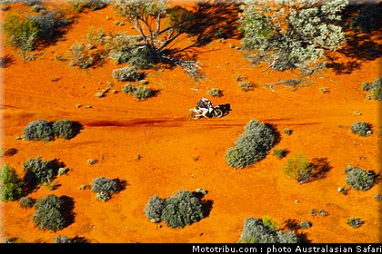 australasian_safari_036_2010.jpg