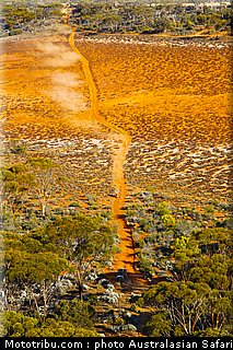 australasian_safari_041_2010.jpg