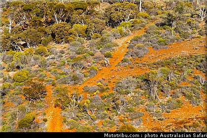 australasian_safari_042_2010.jpg