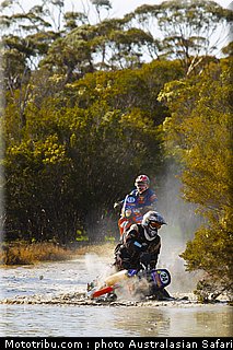australasian_safari_046_2010.jpg