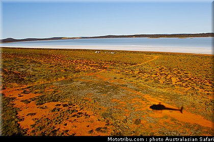 australasian_safari_052_2010.jpg