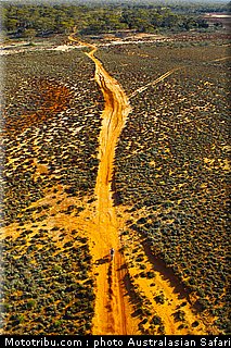 australasian_safari_053_2010.jpg