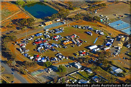australasian_safari_057_2010.jpg