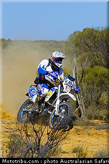 australasian_safari_baumhammer_2010.jpg