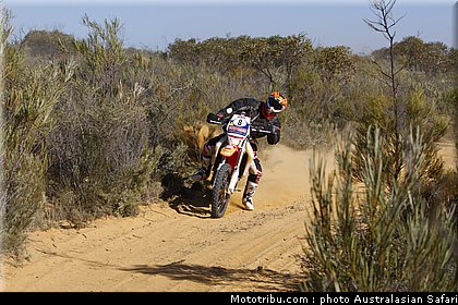australasian_safari_beavis_1_2010.jpg