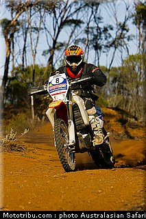 australasian_safari_beavis_2_2010.jpg