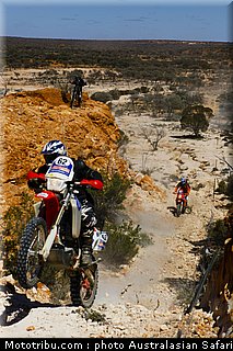 australasian_safari_broad_1_2010.jpg