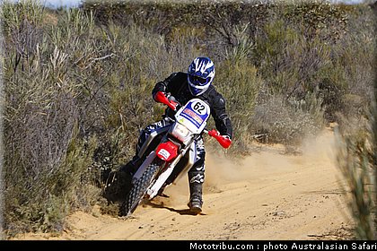 australasian_safari_broad_2_2010.jpg