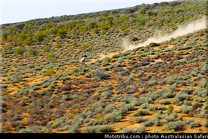 australasian_safari_costello_1_2010.jpg