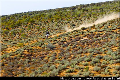 australasian_safari_costello_2_2010.jpg