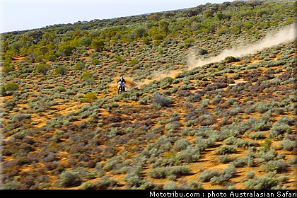 australasian_safari_costello_3_2010.jpg