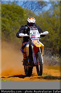 australasian_safari_costello_8_2010.jpg