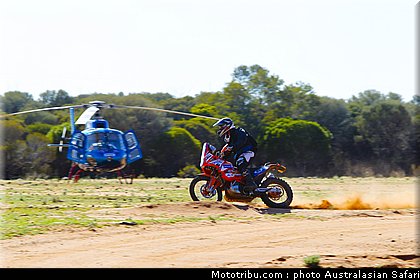 australasian_safari_diener_3_2010.jpg