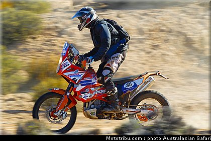 australasian_safari_diener_4_2010.jpg