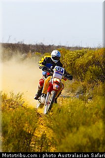 australasian_safari_diener_a_1_2010.jpg