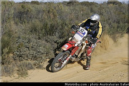 australasian_safari_diener_a_2_2010.jpg