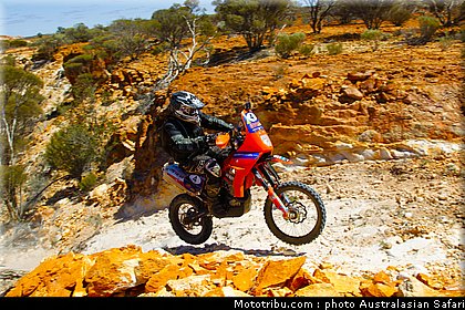 australasian_safari_erceg_1_2010.jpg