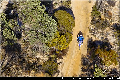 australasian_safari_faggotter_01_2010.jpg