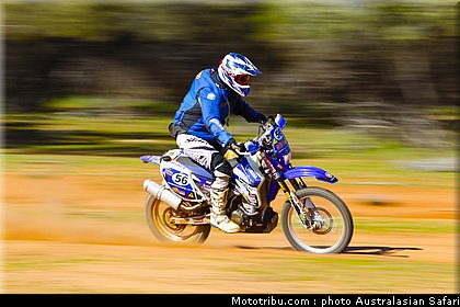 australasian_safari_faggotter_05_2010.jpg