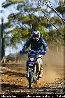 australasian_safari_faggotter_10_2010.jpg