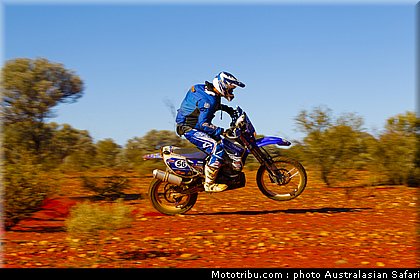 australasian_safari_faggotter_11_2010.jpg