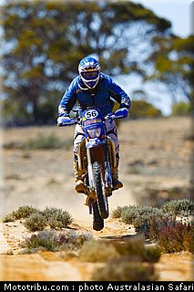 australasian_safari_faggotter_12_2010.jpg