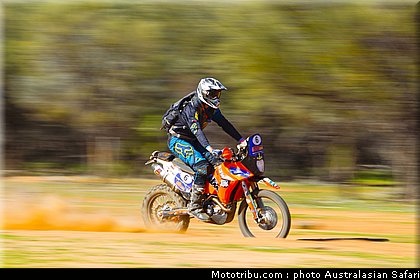 australasian_safari_fish_01_2010.jpg