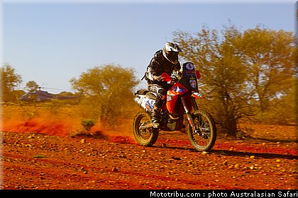 australasian_safari_fish_04_2010.jpg