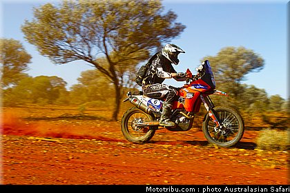 australasian_safari_fish_05_2010.jpg